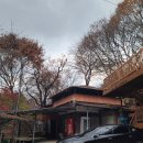 와운골가든 이미지