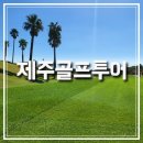 제주골프투어 가격비교후기 내돈내산