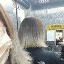 야밋헤어(Yammit)