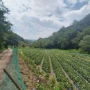 추부농장 이미지