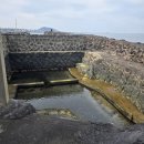 샛도리물 이미지