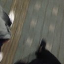 굿럭투데이 이미지