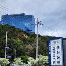 텐호텔 | [강릉 정동진 오션뷰] 탑스텐호텔 숙박 리얼후기! 가족여행에 딱!