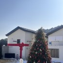 백림스테이 | 백림 스테이 후기