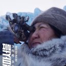 태피사랑