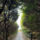 제주도 여행 큰엉해안경승지, 한반도 지형 포토존, 주차