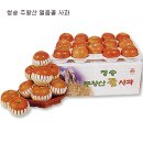 주왕산얼음골사과