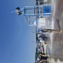 보령머드축제 (대천해수욕장) 이미지