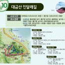 대금산진달래길(트레킹) 이미지