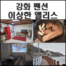 펜션 이상한 앨리스 이미지
