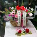 디자인다온 이미지