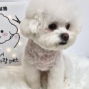 장수서창동-6 이미지