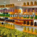 하르방 - 김포시 조강로 85-1 | 오늘제주 신라면세점 제주점ㅣ제주도 기념품 하르방르 디저트 선물 후기 (주차 팁)