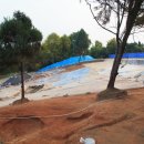 수촌리 고분군 이미지