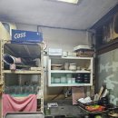 금마차 | 군산 금마차, 미장동 노포 연탄구이 고깃집 포차 감성 야장 후기