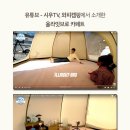 캠핑트렁크 이미지