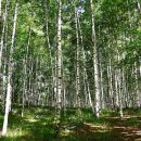 (주)길여행사 이미지