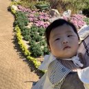 세방세탁 | [이제 제법 커가는 딸!] 10월의 어느날~ 또 다시 감기에.. (D + 180 ~ 192)