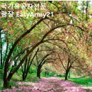 행정법률 광장 행정사사무소 | 국가유공자 등록 실패 사례, 아직도 고민중.. - 군인사 전문행정사