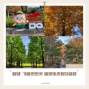 밀양아리랑대공원 화장실 | 밀양 아리랑대공원 놀이터 강아지 단풍 나들이 아이와 가볼만한곳