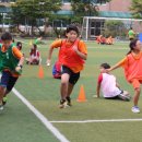 봉래초등학교 이미지