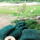 승규농장 이미지