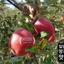 양기농장 이미지