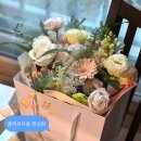 플레르다솔 이미지