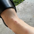 윈플러스약국 이미지