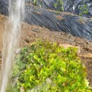 천종농장 이미지