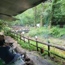 단군산장 이미지