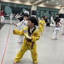 경희대부부태권도체육관 이미지