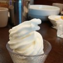 용스크림