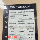 여우자리파스타 이미지