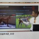 펫시터(반려견) 자격증 과정 이미지