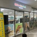 아쿠아펫 카페수족관 이미지