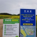 하늘정원예쁘다 이미지