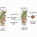 든든약국 이미지