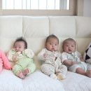 유나메디 이미지