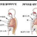 신창헬스PT 이미지