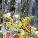 도로시미술학원 이미지