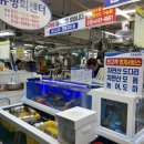 양지회센터 | 부산 기장 횟집 맛집ㅣ기장시장 회센터 초장집ㅣ내돈내산 솔직후기