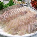 욜로오이소 이미지