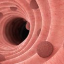 더조은내과의원 이미지