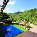 아일랜드코쿤 이미지