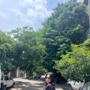 경청환경(주) | [경청스타즈✈️]인도 벵갈루루 한 달 살이 ep.4 | 성과 공유회 우수 참여자 발표/기념품 후기