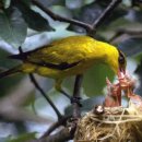 밀려오는 파도소리에 이미지