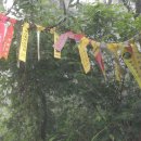 임고면-수성리-30