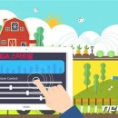 KT성주지사 이미지