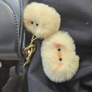 상명약국 | ~20240630